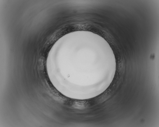 X0000114150757200911051442