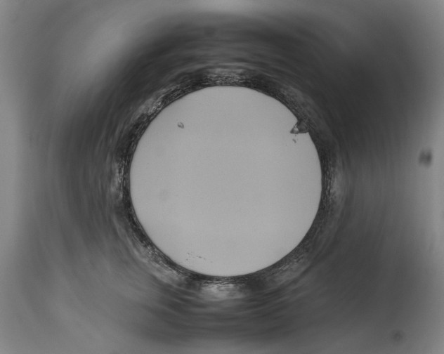 X0000114150759200911051442