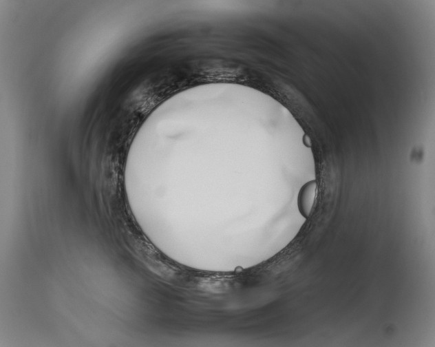X0000114150761200911051442
