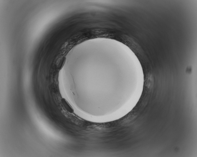 X0000114150763200911051442