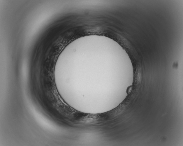 X0000114150764200911051442