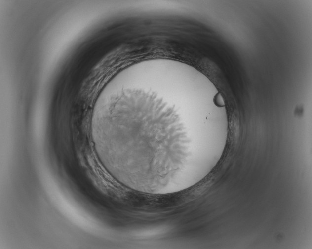 X0000114150765200911051442