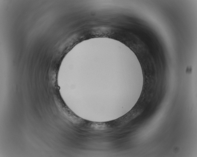 X0000114150767200911051442