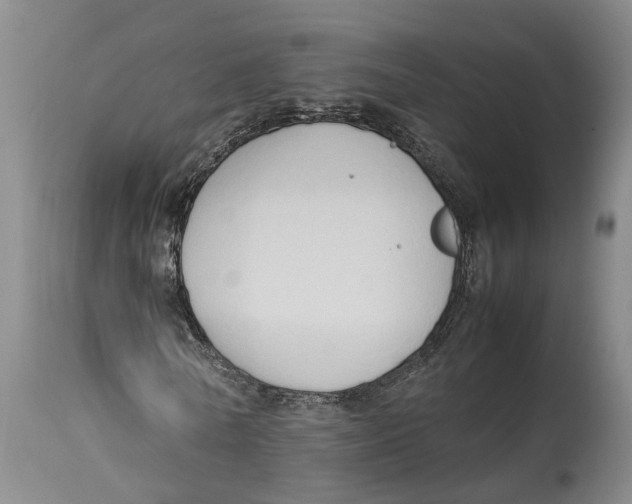 X0000114150770200911051442
