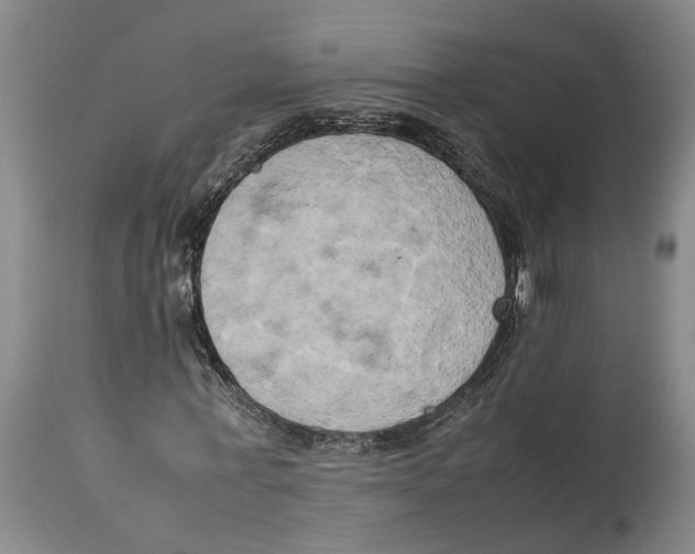 X0000114150771200911051442