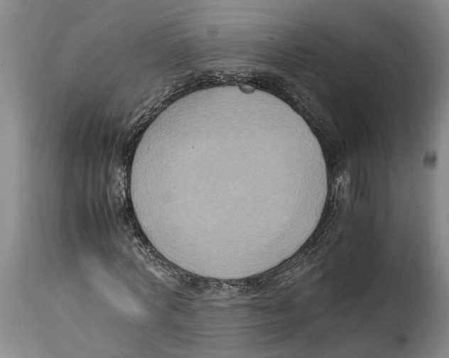 X0000114150772200911051442