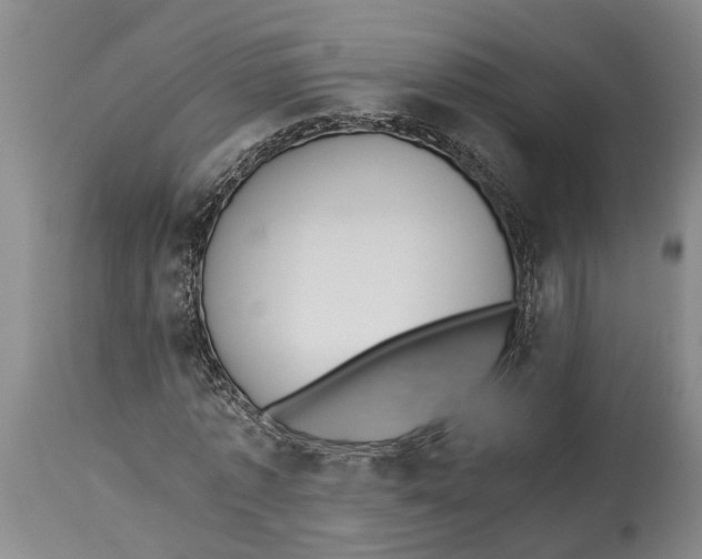 X0000114150773200911051442