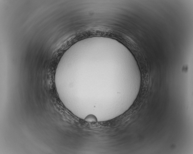 X0000114150774200911051442
