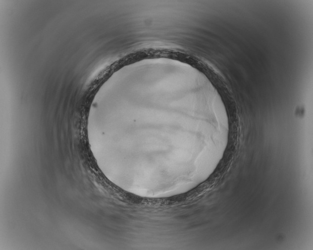 X0000114150775200911051442