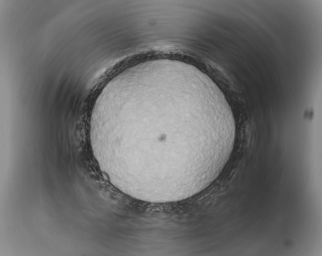 X0000114150776200911051442
