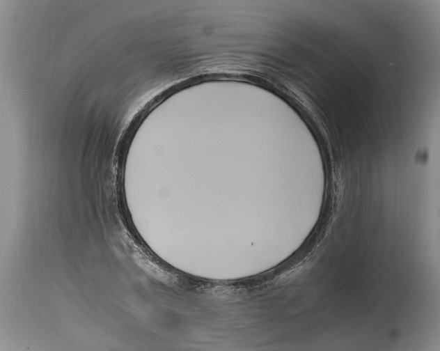 X0000114150779200911051441
