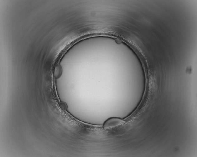 X0000114150781200911051441