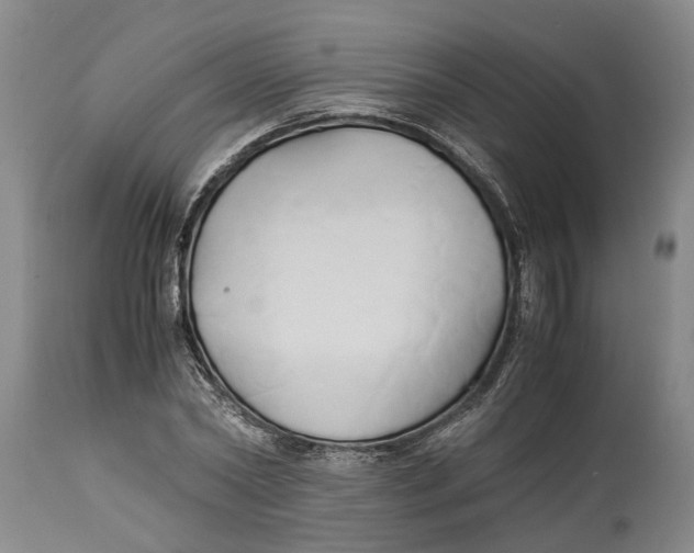 X0000114150782200911051441