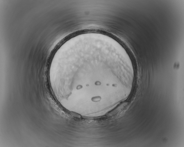 X0000114150783200911051441