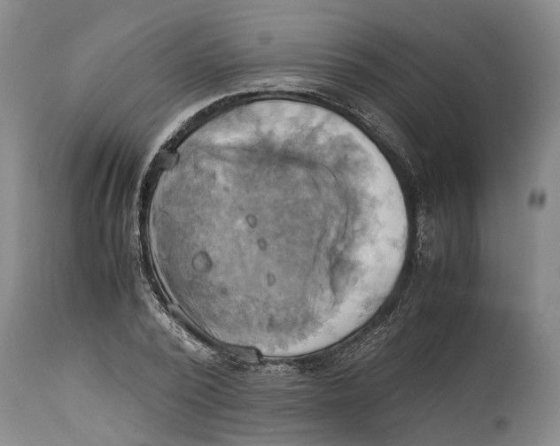 X0000114150784200911051441