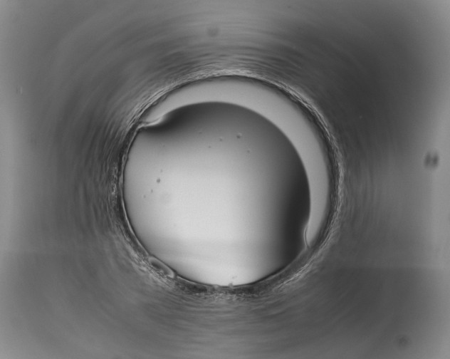 X0000114150785200911051441