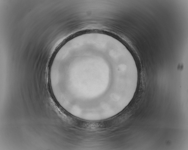 X0000114150791200911051441