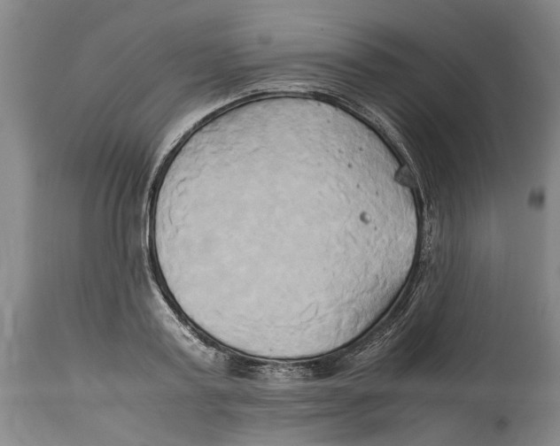X0000114150795200911051441