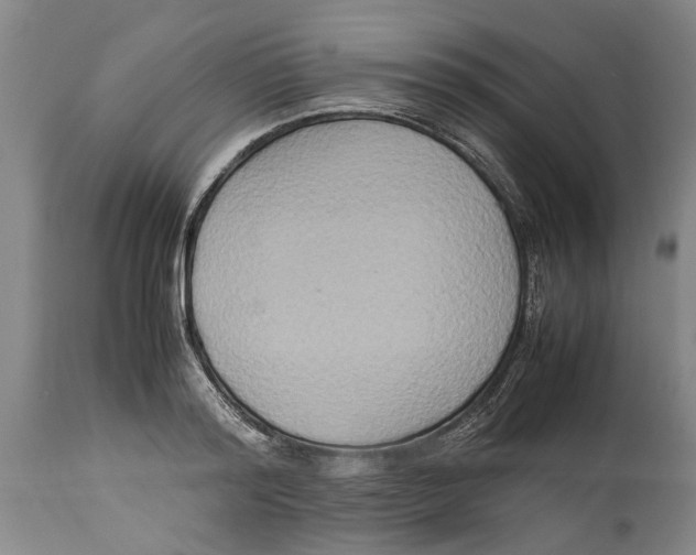 X0000114150796200911051441