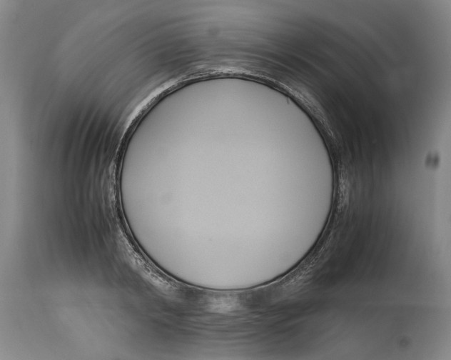 X0000114150798200911051441