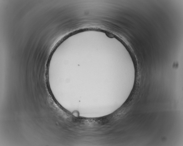 X0000114150799200911051441