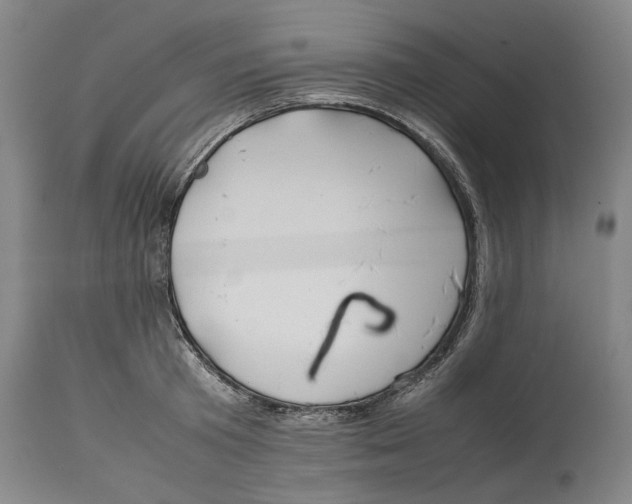 X0000114150801200911051441