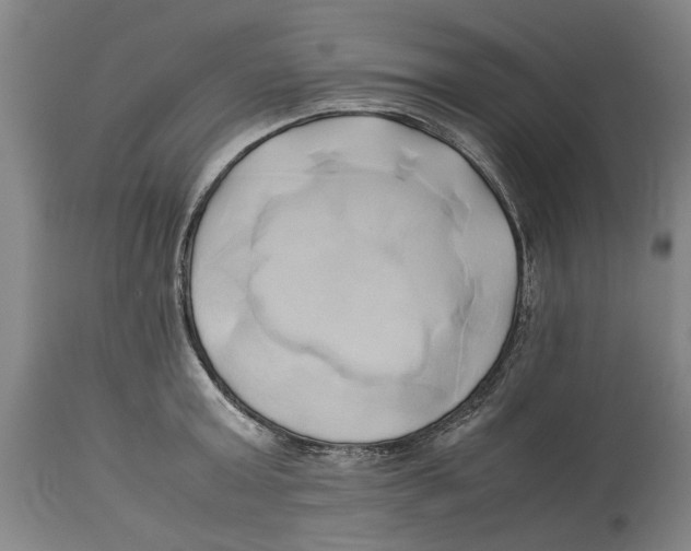 X0000114150803200911051441