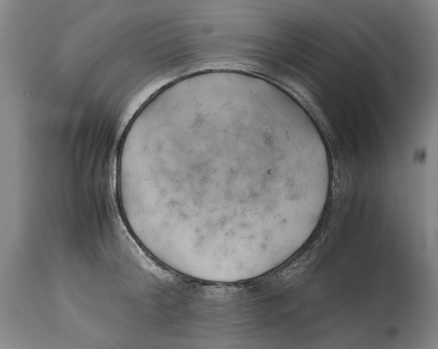X0000114150804200911051441