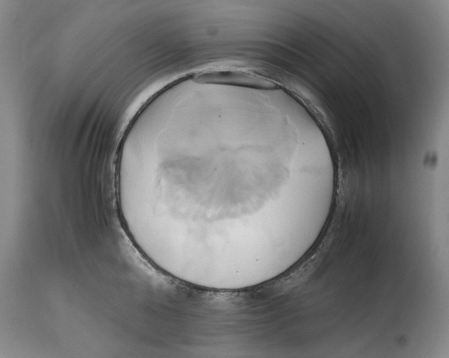 X0000114150808200911051441