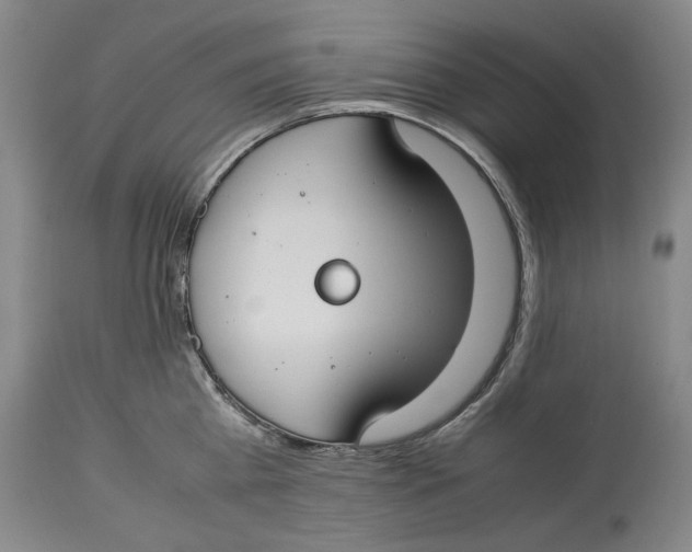 X0000114150809200911051441