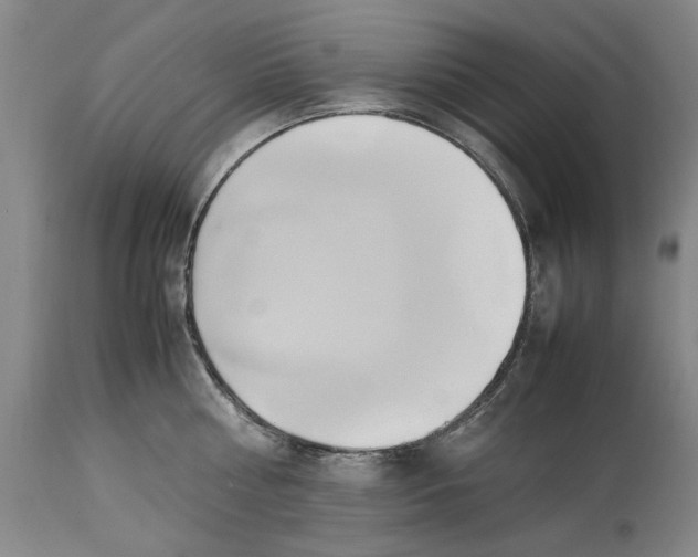 X0000114150810200911051441