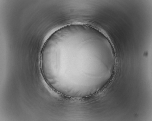 X0000114150811200911051441