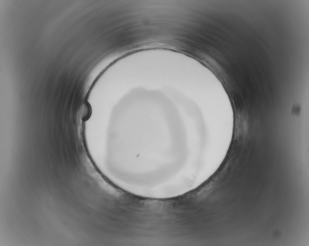 X0000114150812200911051441