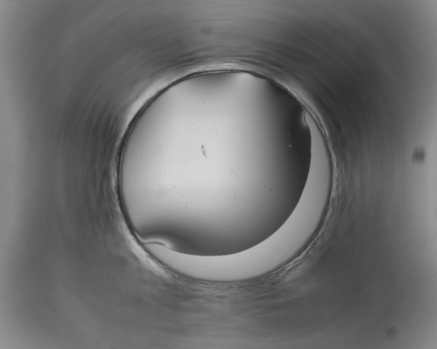 X0000114150813200911051441