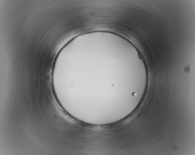 X0000114150814200911051441