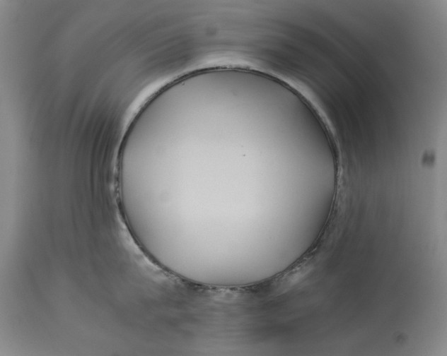 X0000114150815200911051441