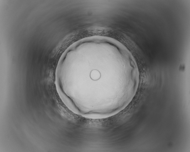 X0000114150820200911051440