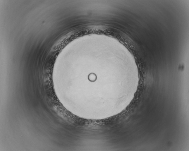 X0000114150824200911051440
