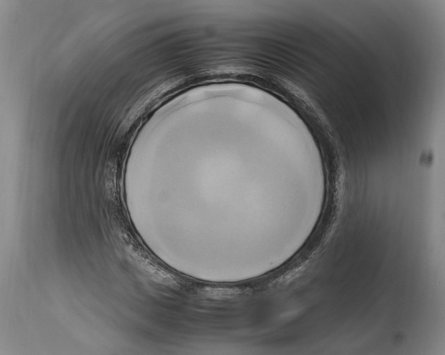 X0000114150825200911051440
