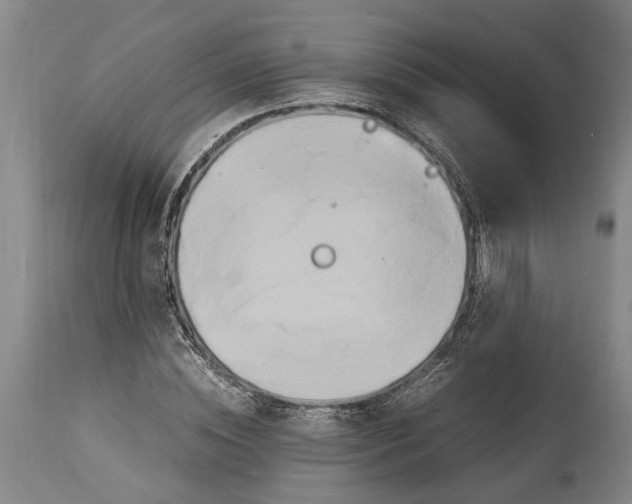 X0000114150828200911051440