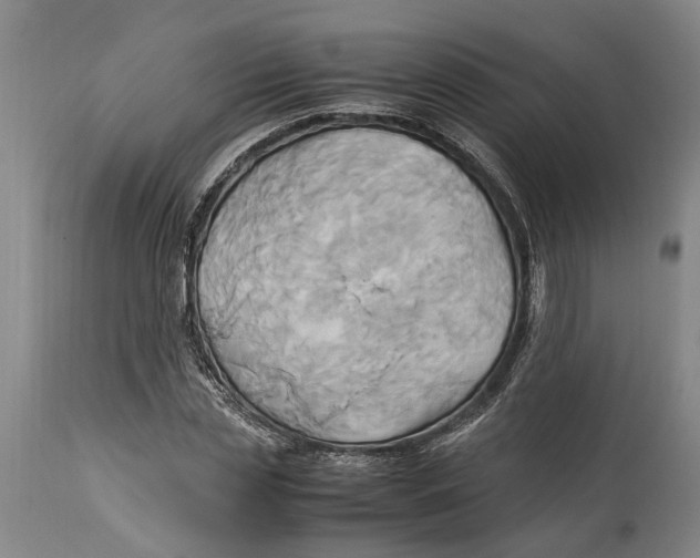 X0000114150829200911051440