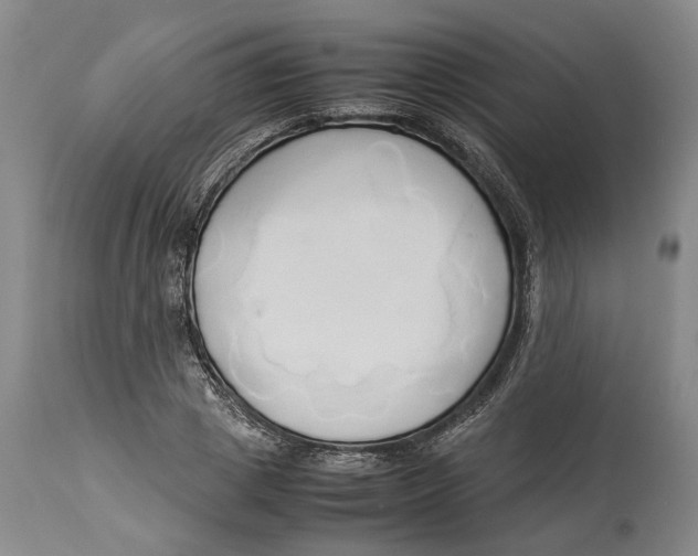 X0000114150833200911051441