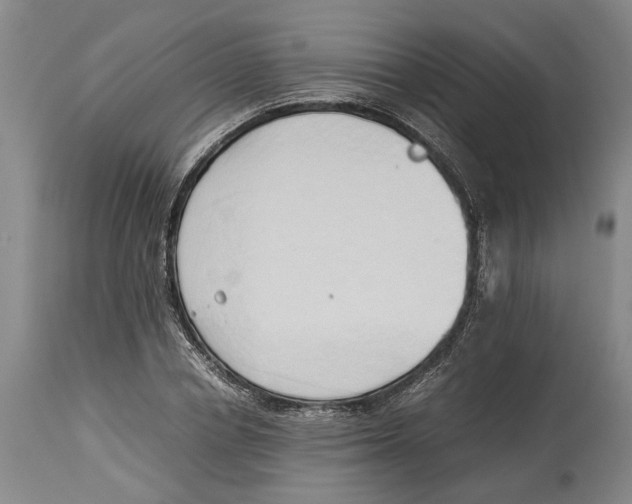 X0000114150834200911051441