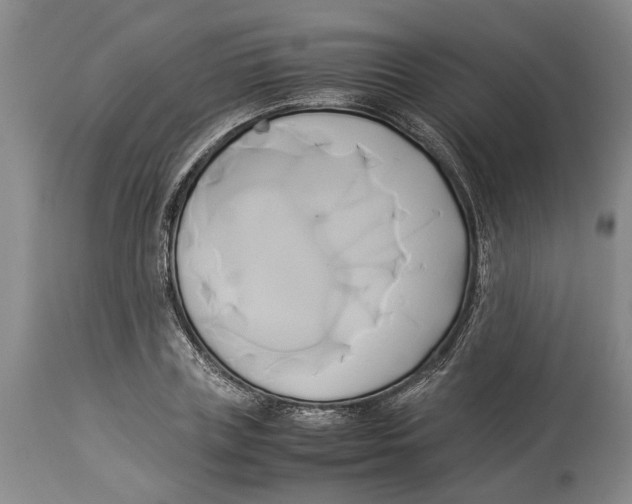 X0000114150835200911051441