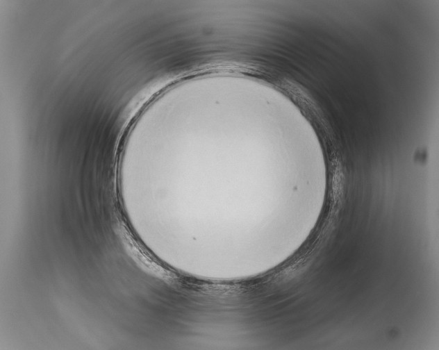X0000114150836200911051441