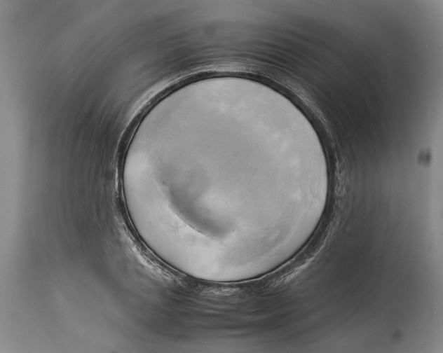 X0000114150837200911051441