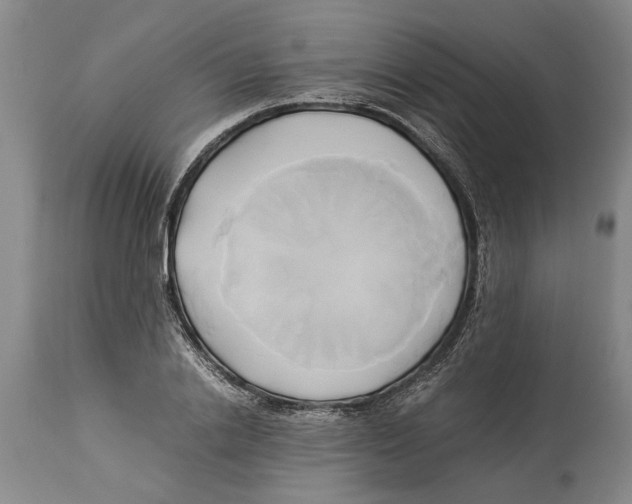 X0000114150838200911051441