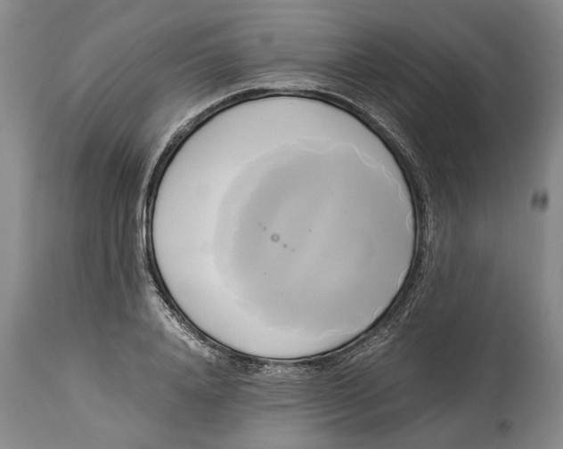 X0000114150840200911051441