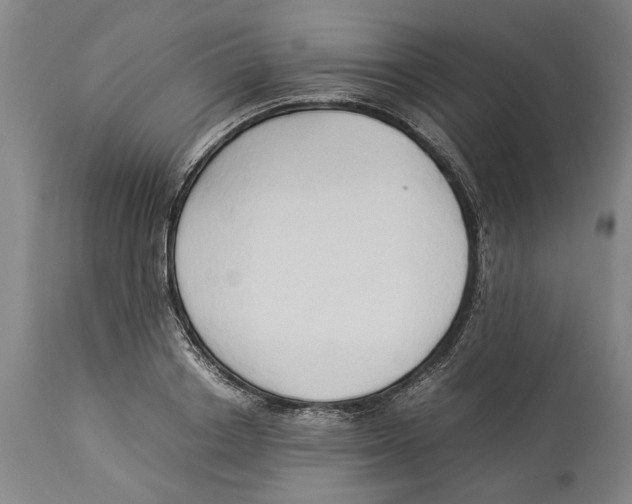 X0000114150842200911051441