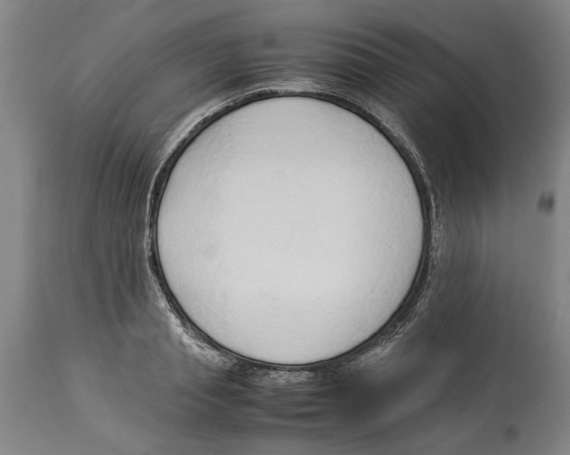 X0000114150845200911051441